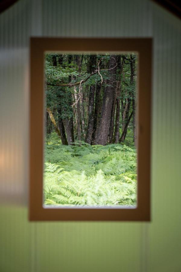 Camping Bois De St Hilaire Chalandray Dış mekan fotoğraf