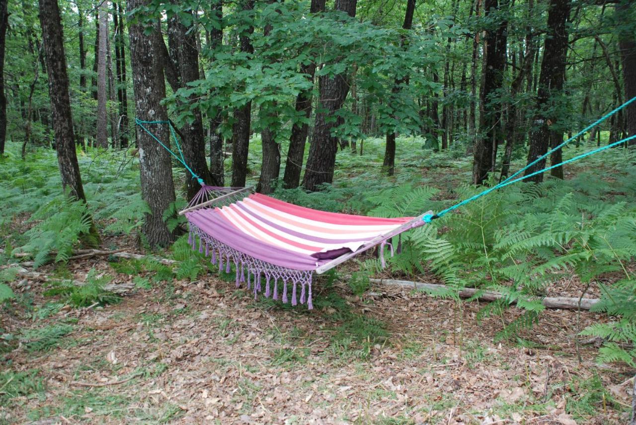 Camping Bois De St Hilaire Chalandray Dış mekan fotoğraf