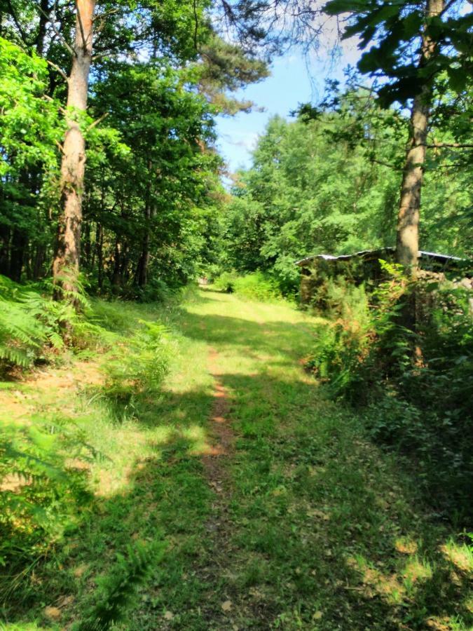 Camping Bois De St Hilaire Chalandray Dış mekan fotoğraf