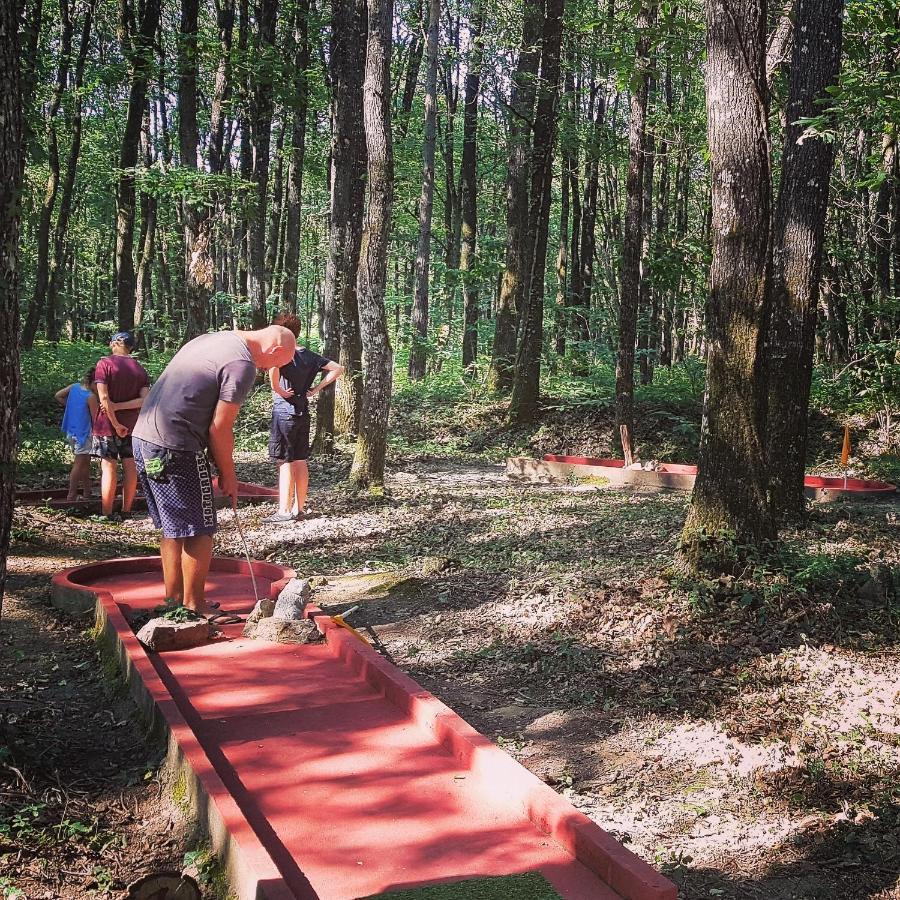Camping Bois De St Hilaire Chalandray Dış mekan fotoğraf